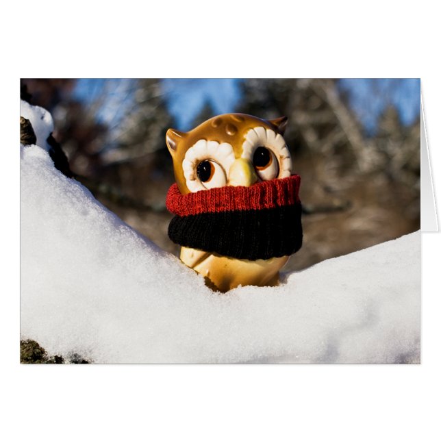 Cartão Harvey, a Coruja IV (Frente horizontal)