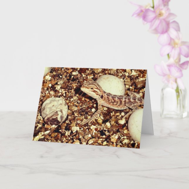 Cartão Hatching Bearded Dragon (Orquídea)