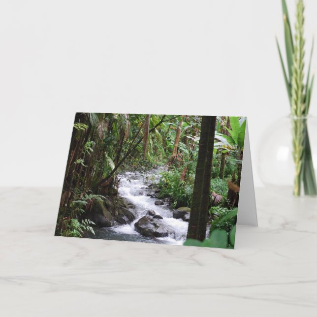 Cartão Havaí, a Grande Ilha (Frente)