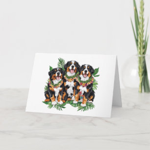 Cartão Havaiano Bernese Mountain Dogs Flower Lei