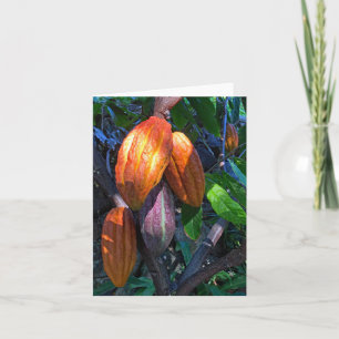 Cartão Havaiano Cacao