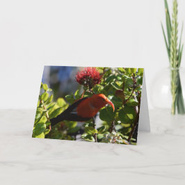 Cartão Havaiano "I'iwi