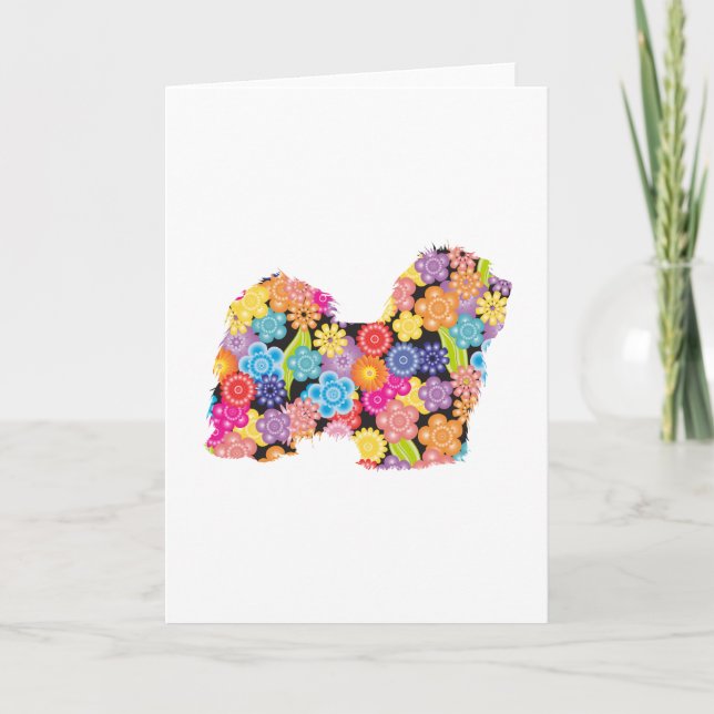 Cartão Havanês (Frente)