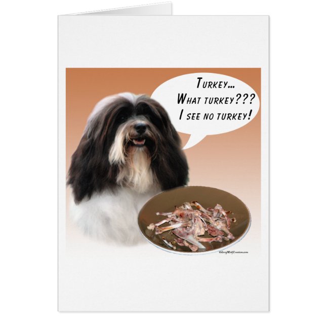 Cartão Havanês Turquia (Frente)