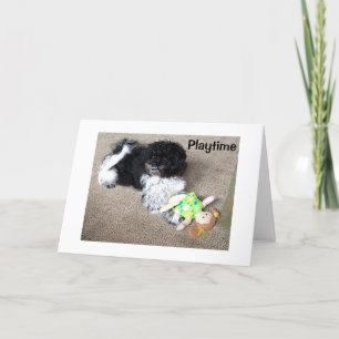 CARTÃO HAVANESE DIZ QUE EU GOSTARIA DE BRINCAR COM VOCÊ N