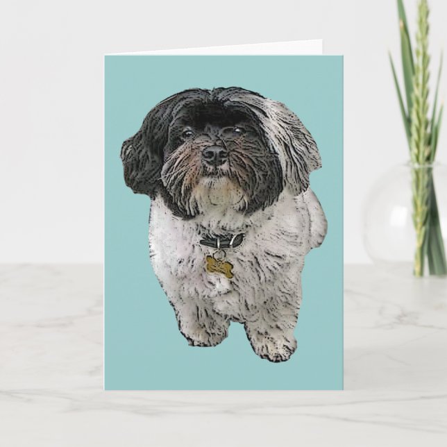 Cartão Havanese Greeting Card (Frente)