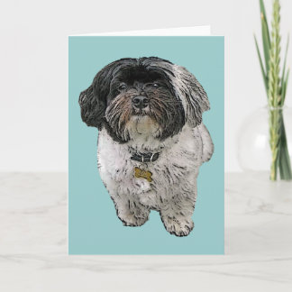 Cartão Havanese Greeting Card