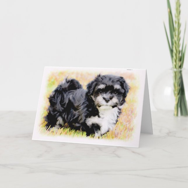 Cartão Havanese Puppy Greeting Cards (Frente)