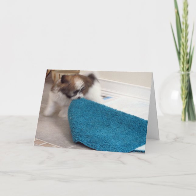 Cartão Havanese Puppy moving his rug (Frente)