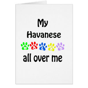 Cartão Havanese Walks Design