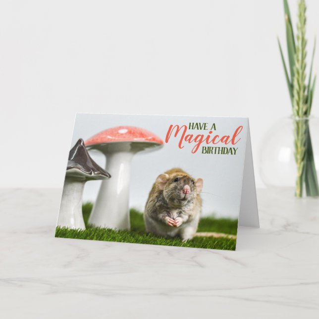Cartão Have a Magical Birthday (Frente)