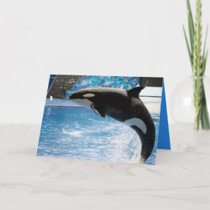 Cartão Have a Whale of a Day!