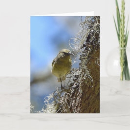 Cartão Hawaii Amakihi