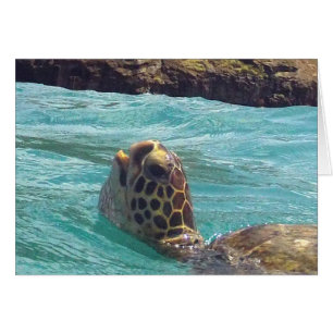Cartão Hawaii Honu Turtle