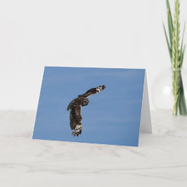 Cartão Hawaiian Short Eared Pueo Soaring