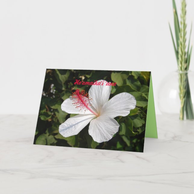 Cartão Hawaiian Wedding Congratulations White Hibiscus (Frente)