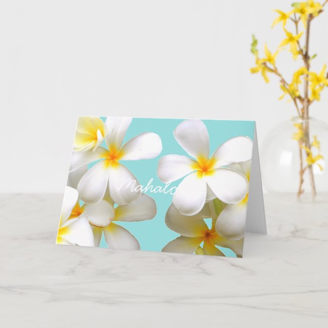 Cartão Hawaiian white plumeria greeting card blue (Flor Amarela)