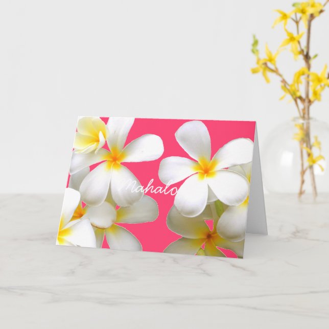 Cartão Hawaiian white plumeria greeting card pink (Flor Amarela)