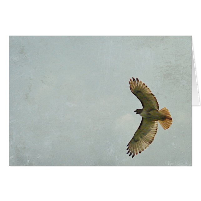 Cartão Hawk (Frente Horizontal)