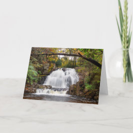 Cartão Hawk Cai no outono