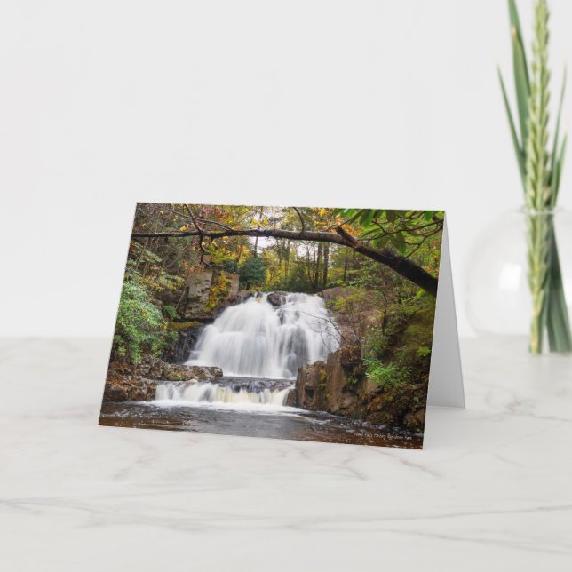 Cartão Hawk Cai no outono (Frente)