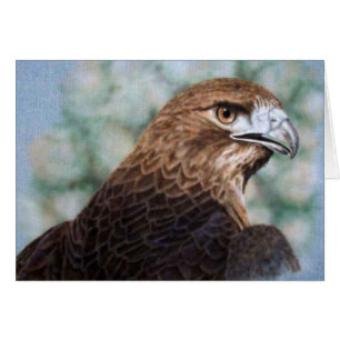 Cartão Hawk Red-tail