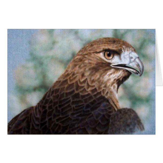 Cartão Hawk Red-tail (Frente Horizontal)