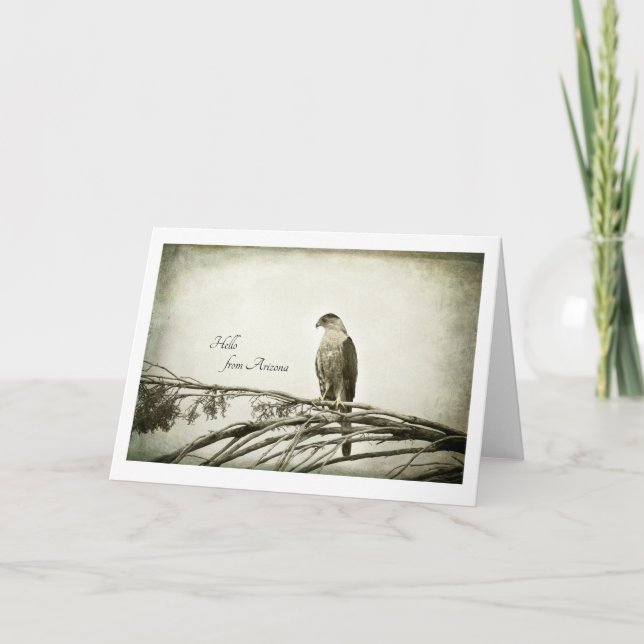 Cartão Hawk, vintage style, blank notecard (Frente)