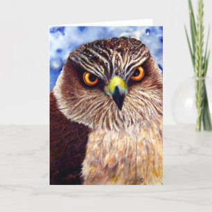 Cartão Hawkeyes Greeting Card