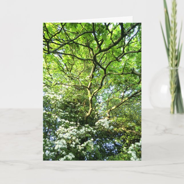 Cartão Hawthorn and Oak Handfasting Card (Frente)