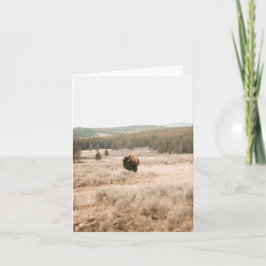 Cartão Hayden Valley -- 4" x 5.6" Notecard