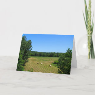 Cartão Haying in the valley rural MN farm landscape photo
