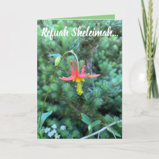 Cartão Healing Prayer, Refuah Sheleimah