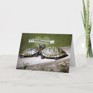 Cartão Heartwarming Friendship, Two Turtles