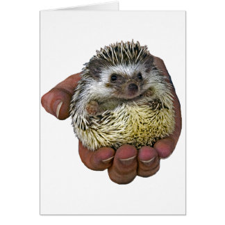Cartão Hedgehog