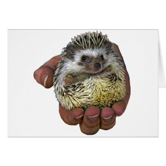 Cartão Hedgehog