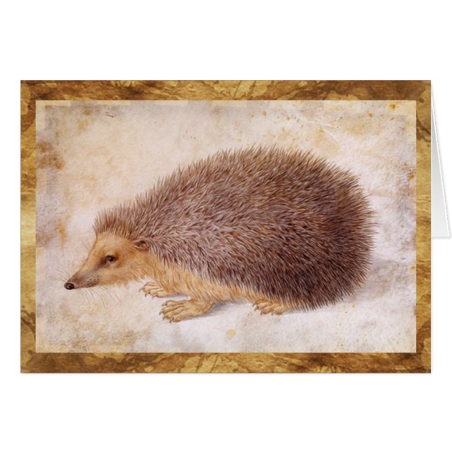 CARTÃO HEDGEHOG (Frente Horizontal)