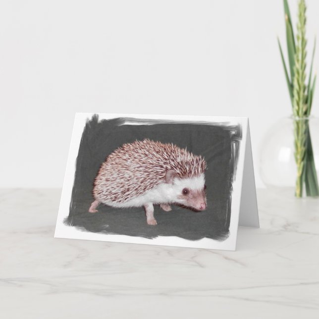Cartão Hedgehog Card (Frente)