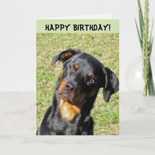 Cartão Heidi Happy Birthday Card (Frente)