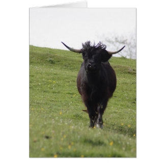 Cartão Heilan Coo running