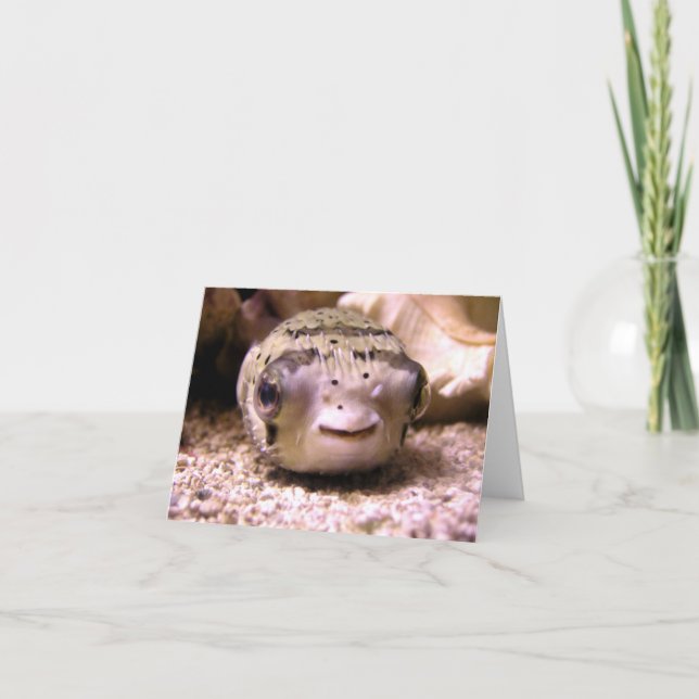 Cartão Helaine's Blowfish Pufferfish (Frente)