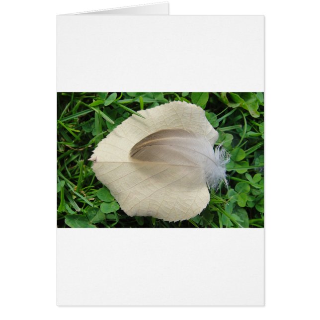 Cartão Hellbraune Feder auf hellbeigem Blatt (Frente)