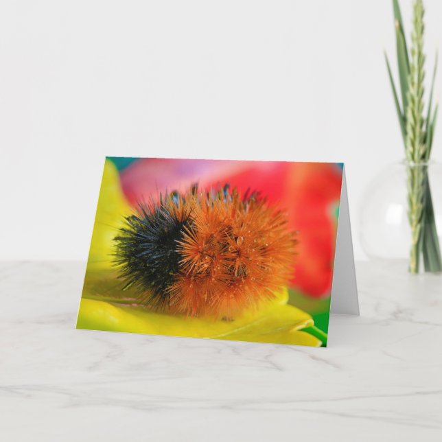 Cartão Hello (Frente)