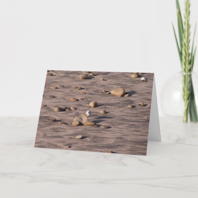 Cartão Hello (Frente)