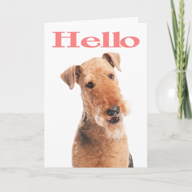 Cartão Hello Airedale Puppy Dog Greeting Card - Verse (Frente)
