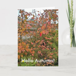 Cartão Hello Autumn