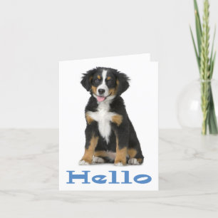 Cartão Hello Bernese Mountain Dog Puppy Dog Note Card