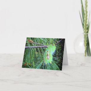 Cartão hello caterpillar notecard