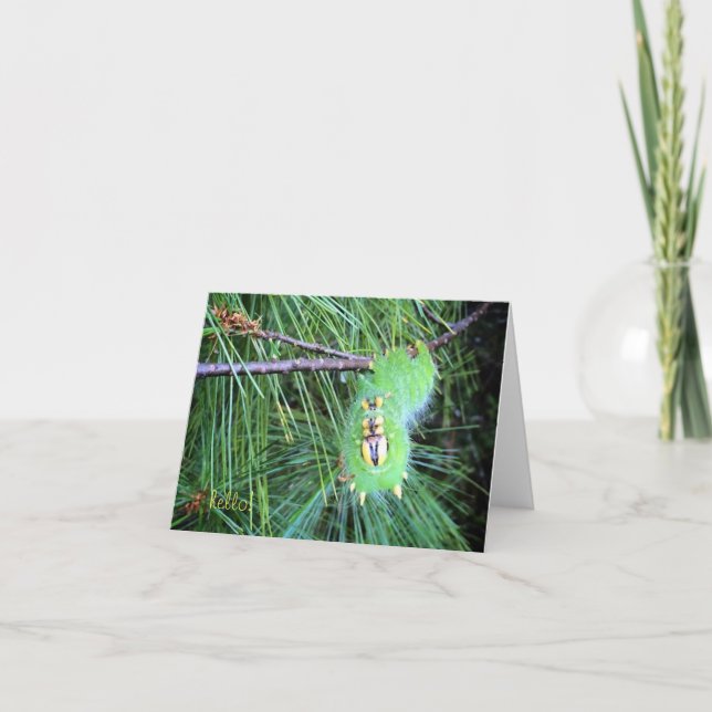 Cartão hello caterpillar notecard (Frente)