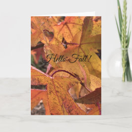 Cartão "Hello Fall!" Greeting Card